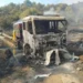 bozdoğan, yangın, 100 hektar, zarar, son dakika, aydın,