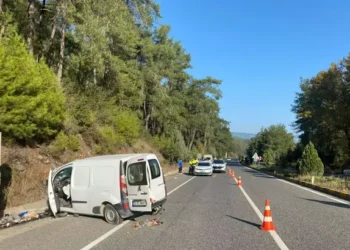 Kamyonet, istinat duvarına çarptı; 2 çocuk öldü