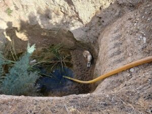 Aydın’ın Didim İlçesinde 5 metre derinlikteki kuyuya düşerek mahsur kalan