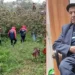 Hurma toplamaya gitmişti; cansız bedeni bulundu