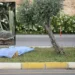 Kazada ölen arkadaşının cansız bedeninin başından ayrılmadı