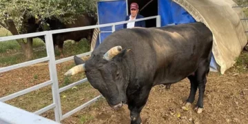 incirliovali unlu bogaciya bogasi saldirdi 648071 64fd3159d829e6236d943df845f511a0