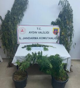 Aydın’da uyuşturucu operasyonu: 2 gözaltı