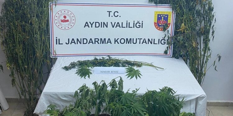 Aydın’da uyuşturucu operasyonu: 2 gözaltı