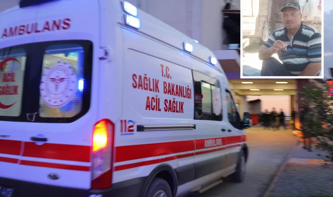 Kastamonu'nun Tosya ilçesinde dalından kiraz koparıp yiyen Ahmet Derin ve