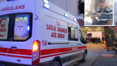 Kastamonu'nun Tosya ilçesinde dalından kiraz koparıp yiyen Ahmet Derin ve