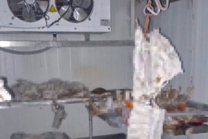 Aydın’ın Efeler İlçe Belediyesi, bir kasap dükkânında yaşanan ve kamuoyunda