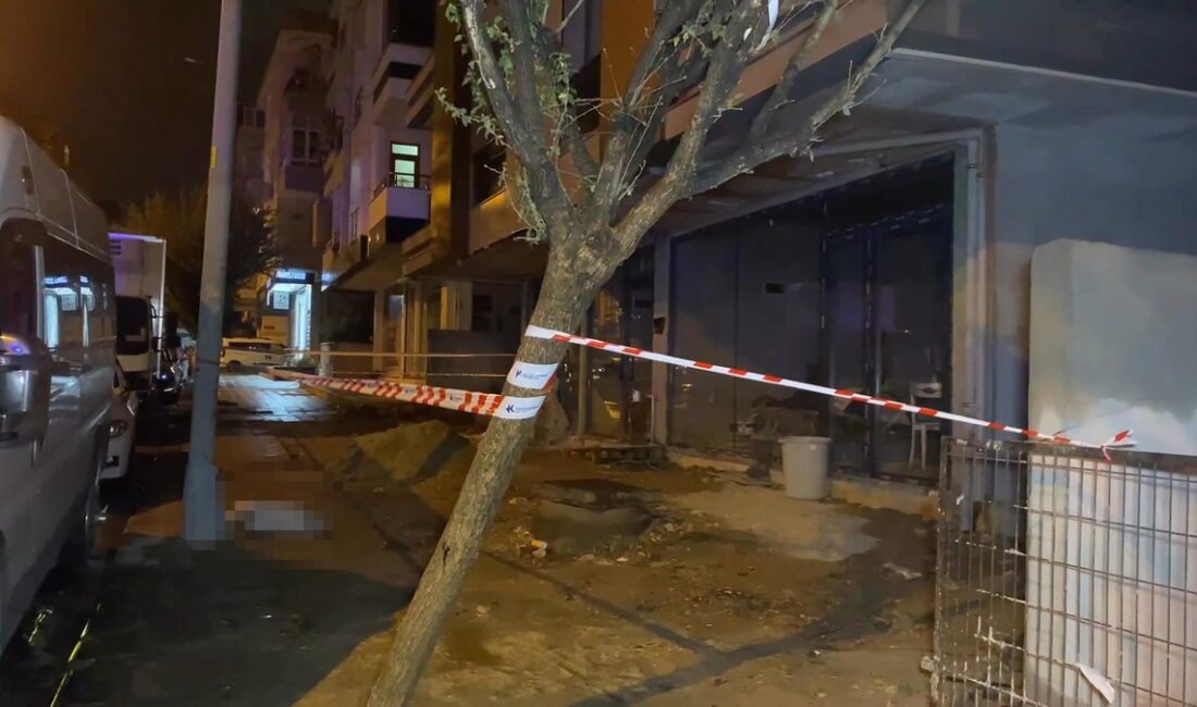 Aydınlatma direğine dokunan akıma kapıldı İstanbul Küçükçekmece'de köpeğini gezdiren 21 yaşındaki Can Demir, inşaat halindeki