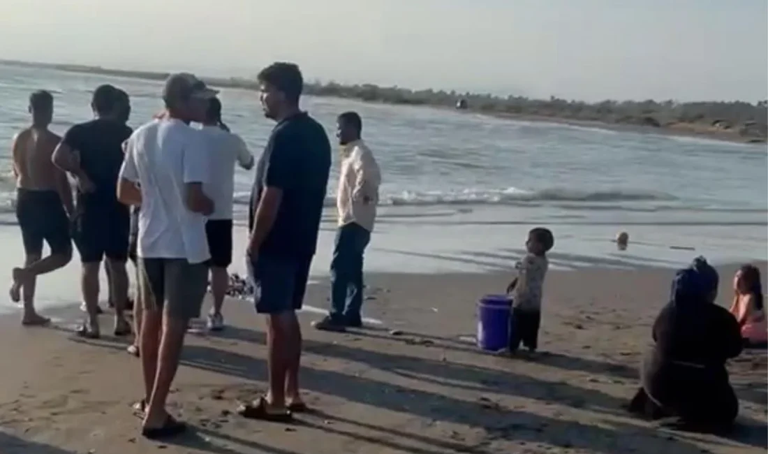 Serinlemek için girdikleri deniz aileyi yuttu Mersin'in Tarsus ilçesinde denize giren aynı aileden 5 kişi kuvvetli