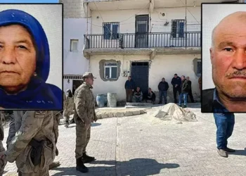 Köpek besleme kavgasında çift öldü, oğlu ve gelini yaralandı