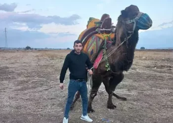 Deve yetiştiricileri arasında alacak kavgası; 1 ölü