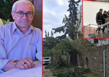 Ağaç budamak için çıktığı duvardan düşüp öldü