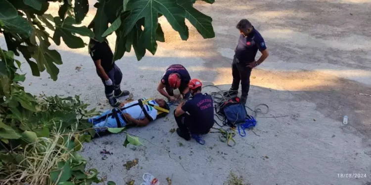 İncir toplarken beton zemine düştü