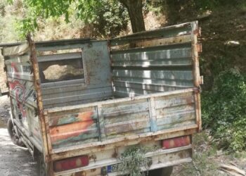 Aydın’da defne ağacı kesen 3 şüpheli yakalandı