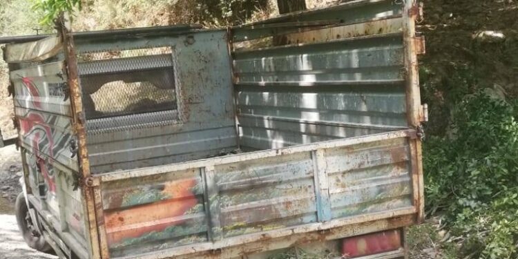 Aydın’da defne ağacı kesen 3 şüpheli yakalandı