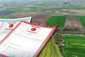 Yargıtay 7. Hukuk Dairesi, paylı mülkiyette ön alım hakkına ilişkin