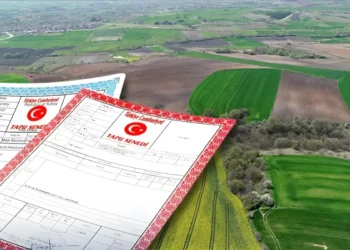 ortak tapuda satis yapanlar dikkat yargitay dan 19589553 989 amp