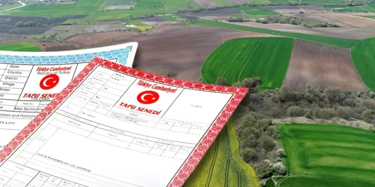 ortak tapuda satis yapanlar dikkat yargitay dan 19589553 989 amp