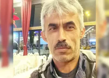 Başına ağaç dalı düşen işçi öldü