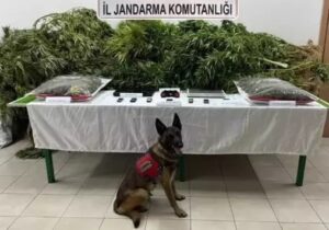Konya Barosu’na kayıtlı avukat Yusuf K.’nin çiftliğine yapılan operasyonda 5