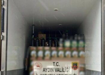 Aydın’da 8 bin 294 litre sahte zeytinyağı ele geçirildi