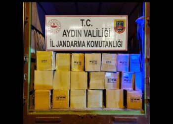 Aydın’da 3 bin 660 litre sahte zeytinyağı ele geçirildi