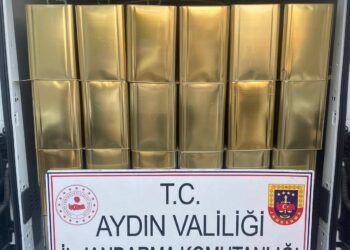 Köşk’te 3 bin 600 litre sahte zeytinyağı ele geçirildi