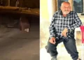 seferihisar da balkonda uyuyan adama ayi saldirisi hayatini kaybetti