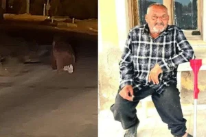 seferihisar da balkonda uyuyan adama ayi saldirisi hayatini kaybetti