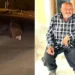 seferihisar da balkonda uyuyan adama ayi saldirisi hayatini kaybetti