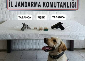 Söke’de silah ticaretine operasyon