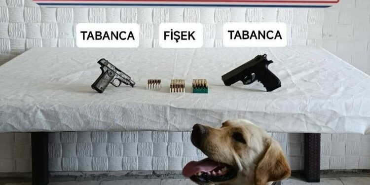 Söke’de silah ticaretine operasyon
