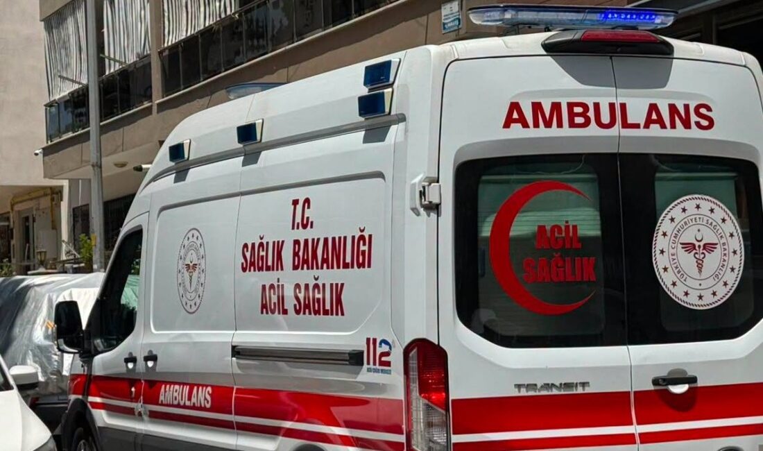 Yalnız yaşayan yaşlı kadın evinde ölü bulundu Aydın'ın Söke ilçesinde yalnız yaşayan 76 yaşındaki Cemile Gökçiçek, kendisinden