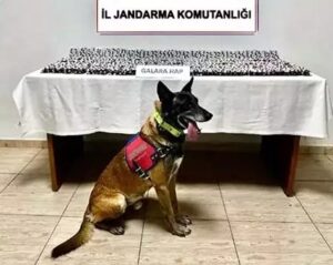 4 bin 756 sentetik hap ele geçirildi