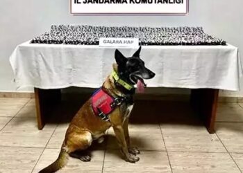 4 bin 756 sentetik hap ele geçirildi