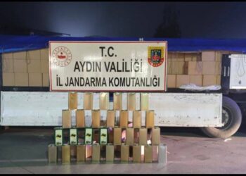 TIR dolusu 34 bin litre zeytinyağı ele geçirildi