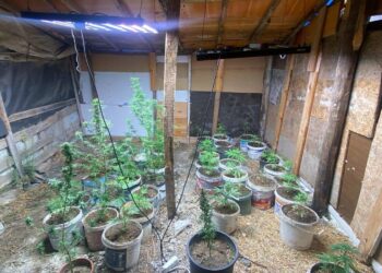 Kuşadası’nda uyuşturucu operasyonu: 2 gözaltı