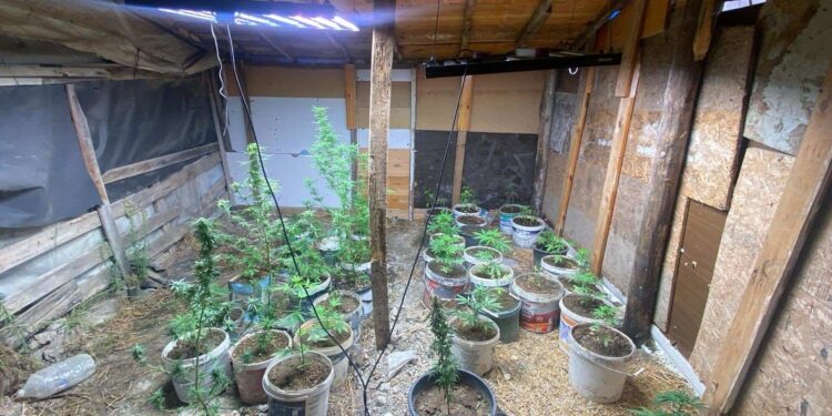 Kuşadası’nda uyuşturucu operasyonu: 2 gözaltı