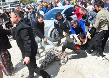 Deve güreşinde vatandaşla polis arasında arbede