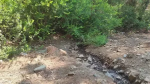 Ormanda terk edilmiş bebek bulundu