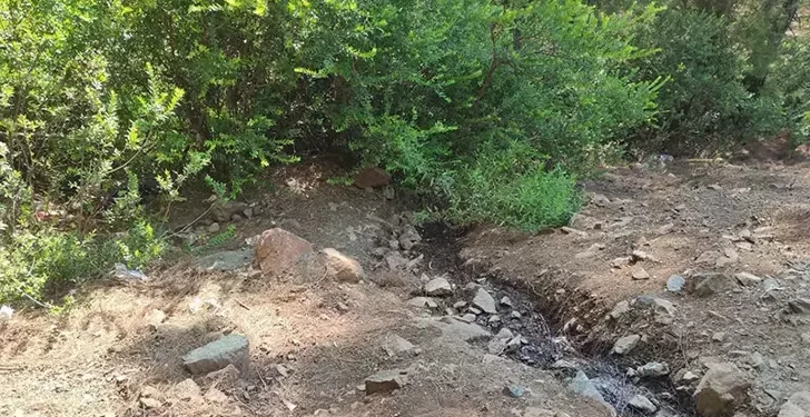 Ormanda terk edilmiş bebek bulundu